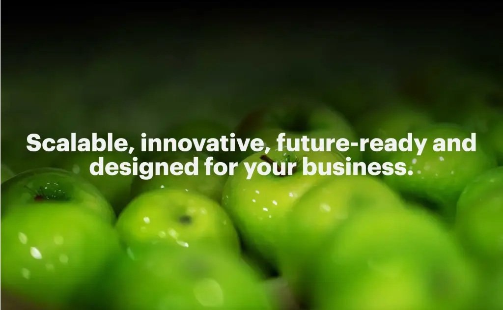 Rebranding the Affinitus digital identity